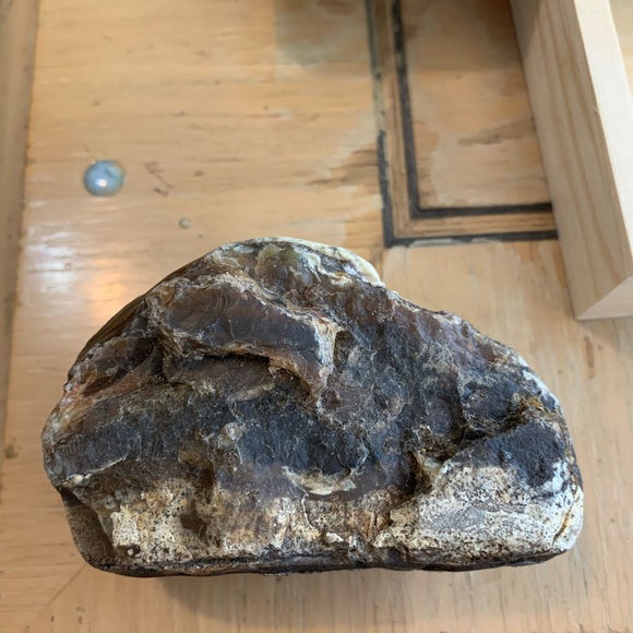 Agate petrified wood 300+ grams - Picture 4 of 7